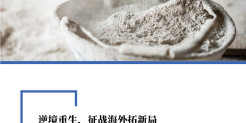 建材行业中企出海专题研究-逆境重生-征战海外拓新局