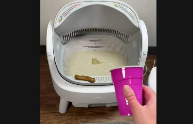 宠物拟人化消费!智能养宠设备的情感溢价策略