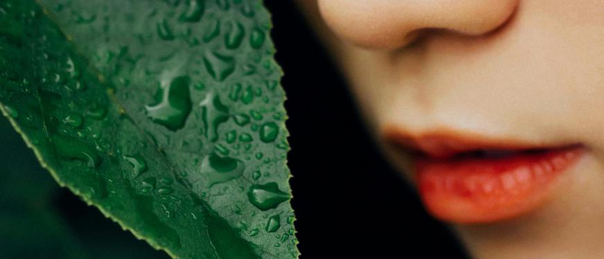 5美元唇油30天卖爆墨西哥:一条22秒短视频创造154万播放 小达人矩阵转化61%