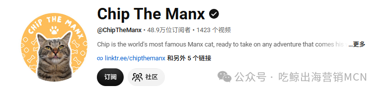 靠小众赛道年入10亿?这个宠物品牌凭什么拿捏全球铲屎官?