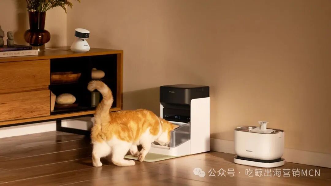 图片 靠小众赛道年入10亿?这个宠物品牌凭什么拿捏全球铲屎官?