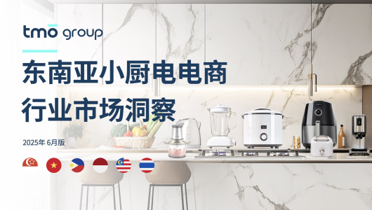 2025年东南亚小厨电电商行业市场洞察