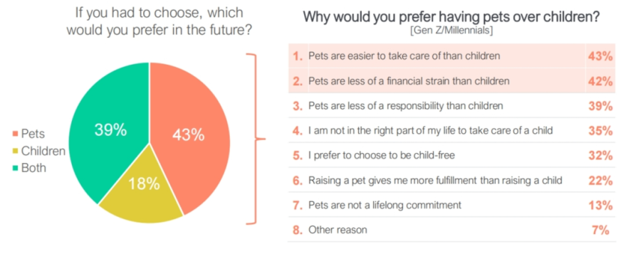 宠物经济掀起狂潮,美国人抢着为“毛孩子”买单
