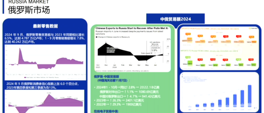 掘金俄罗斯:Megamarket平台全解析与运营指南