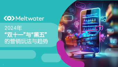 2024年“双十一”与“黑五”营销玩法与消费趋势研究