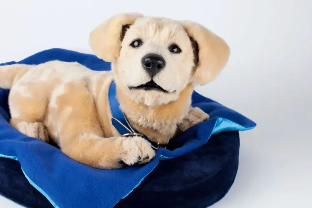 2026 CES（国际消费类电子产品展）最新黑科技产品