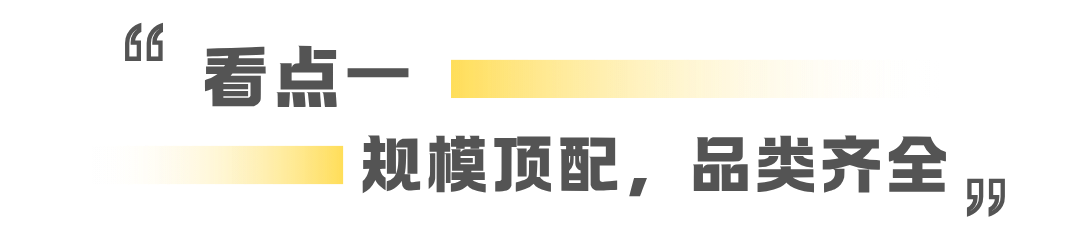 图片 CHWE看点抢先看!听说今年做跨境的都要去这里?