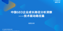 2026中国GEO企业成长路径分析洞察