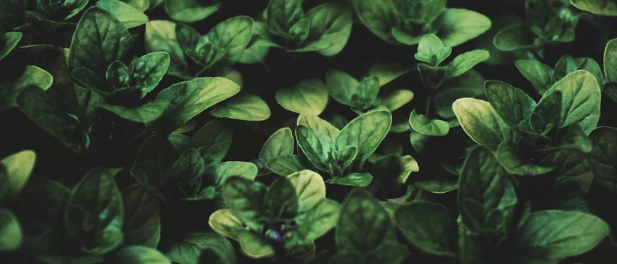 欧盟碳关税倒计时:2025年欧盟碳关税制度及应对要点