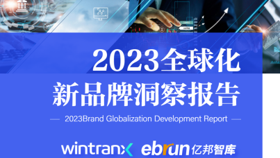 2023全球化新品牌洞察报告