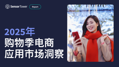 2025 年购物季电商应用与品牌市场洞察