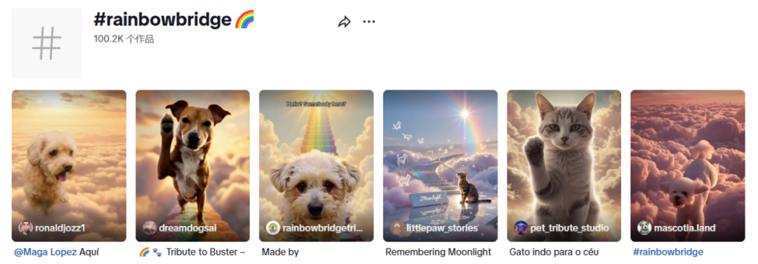 图片 266亿,这个赛道成跨境卖家下一个金矿
