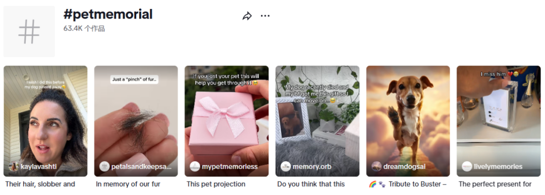 图片 266亿,这个赛道成跨境卖家下一个金矿