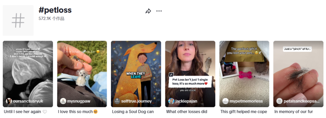图片 266亿,这个赛道成跨境卖家下一个金矿