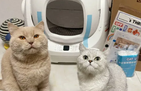 中国智能猫砂盆，如何横扫119个国家？