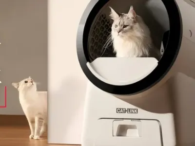 中国智能猫砂盆，如何横扫119个国家？