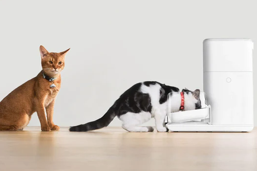 中国智能猫砂盆，如何横扫119个国家？