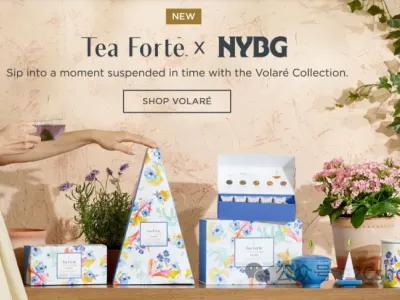 一盒茶包卖80美金，这个独立站靠“仪式感”年入千万