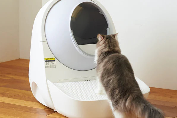 中国智能猫砂盆，如何横扫119个国家？