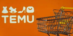 Temu处罚跑水账号政策深度解析！