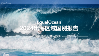 2024出海区域国别报告