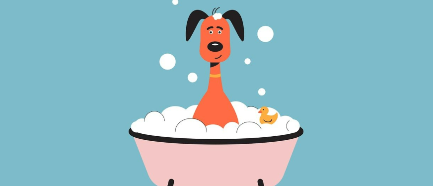 宠物定制化出海：被低估的千亿级宠物赛道选品指南