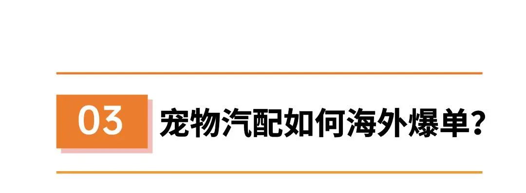 市值百亿，小众宠物品类爆卖3000+单，发掘汽配市场新赛道！