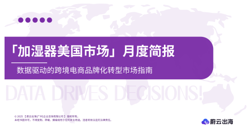 美国亚马逊加湿器市场分析