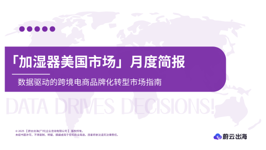 美国亚马逊加湿器市场分析