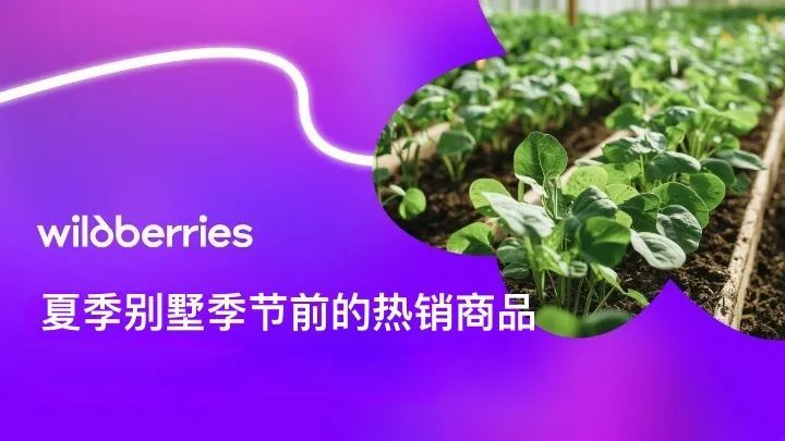 俄罗斯园艺旺季即将到来,3-4月Wildberries热销产品预测