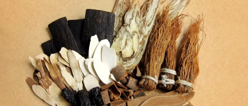 现场签下9200万元订单,中草药配方产品在海外火了!