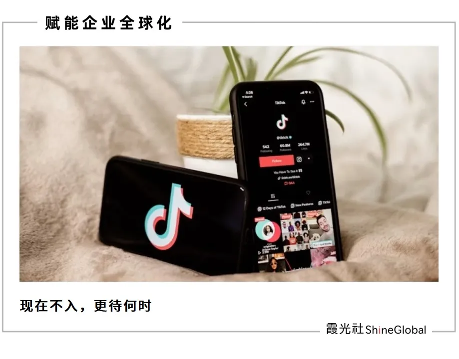 美区“黑五”近在眼前，新商家机会窗口在哪？