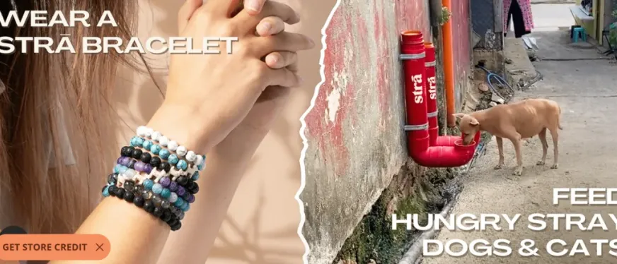 从悼念爱犬到商业奇迹:一个宠物品牌的暖心创业故事