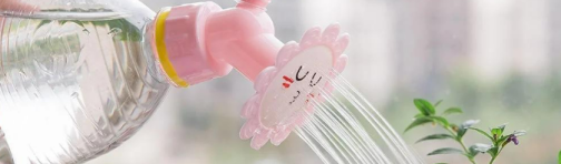 国产 “浇花神器” TikTok 爆火，单周狂销 1.02 万件，家居园艺跨境赛道迎新机遇