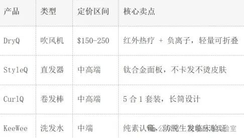 100个品牌独立站拆解，凭什么卖了10万+吹风机？