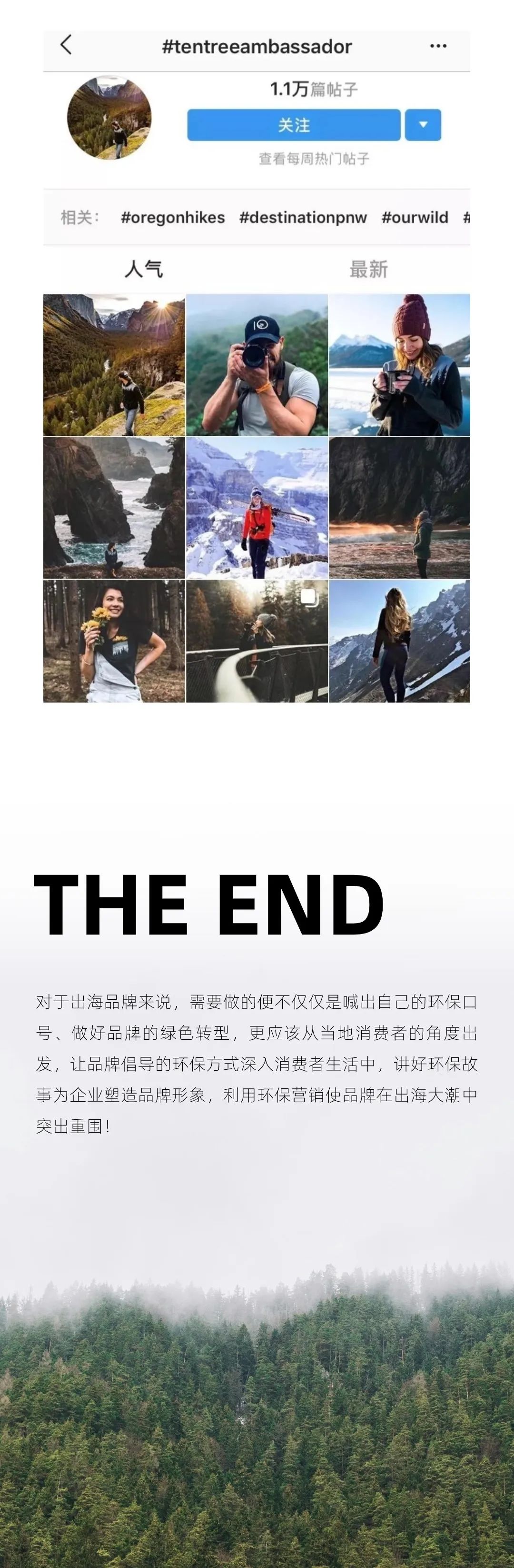 消费遇上环保风潮：看品牌出海营销“绿”出新意