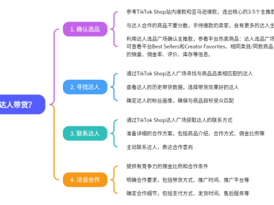 <em>TikTok</em>红人营销,如何跑通 0-1?