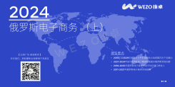 2024俄罗斯电子商务报告