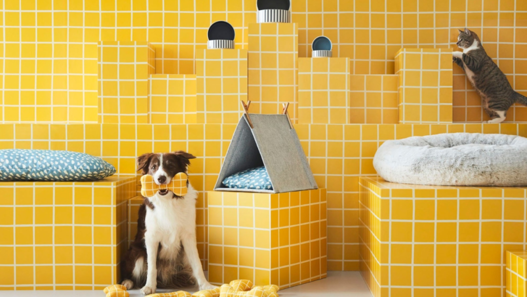 图片 30天狂卖2118万!冷门宠物家具成海外爆单新风口