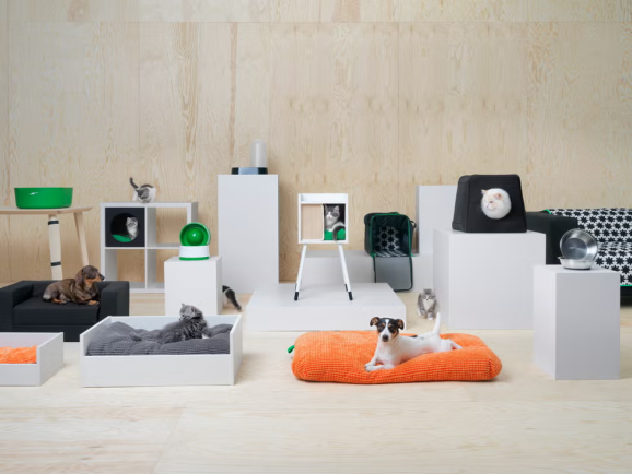 30天狂卖2118万!冷门宠物家具成海外爆单新风口