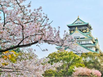 日本独立站搭建全流程：这5个细节，90%的新手都忽略了
