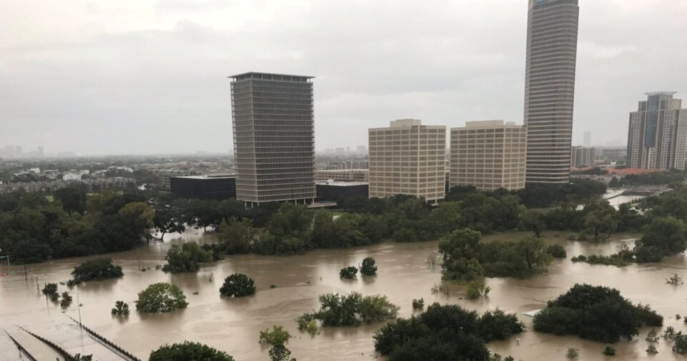 跨境电商人物志：正浩创新创始人王雷