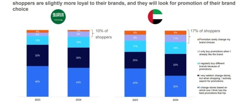 2024年上半年中东地区分国别市场概览：沙特及阿联酋