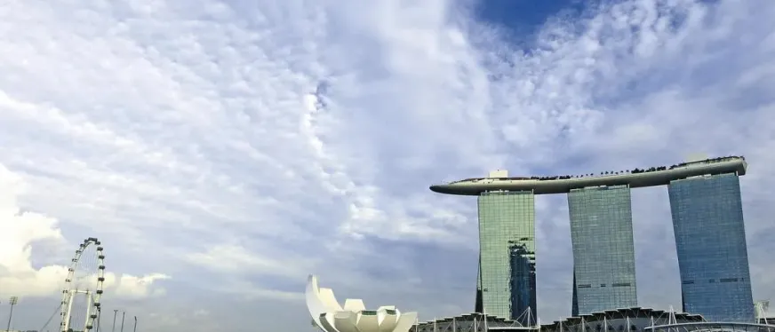 新加坡开公司必备材料与合规要点一览