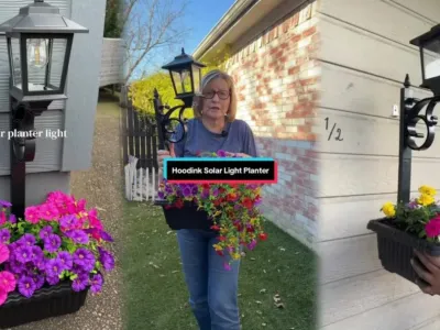 小众户外灯具爆发，卖家30天拿下200万