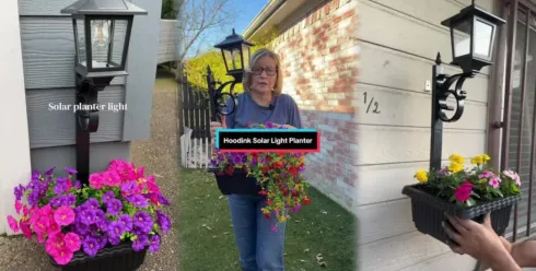 小众户外灯具爆发，卖家30天拿下200万