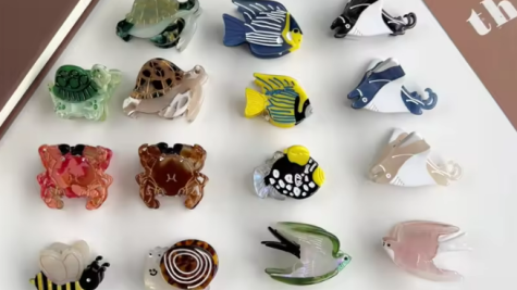 小发夹引爆大市场：Shopee 透明螃蟹塑料发夹，日销 8000 + 的跨境爆款密码！