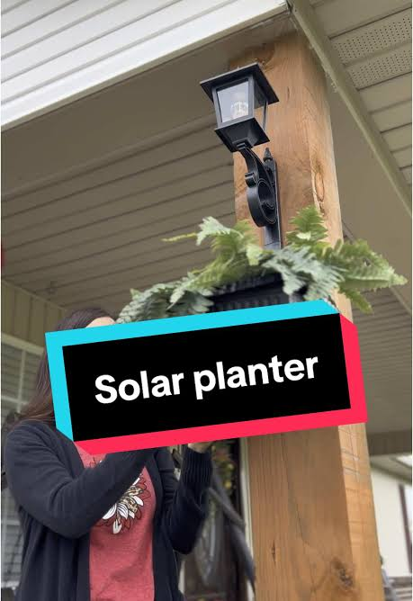 小众户外灯具爆发，卖家30天拿下200万