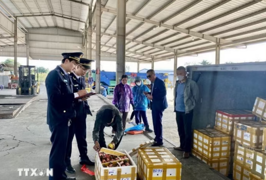 重磅新规 8 月落地！越南 12 类商品强制口岸报关，家电跨境卖家成本上涨！
