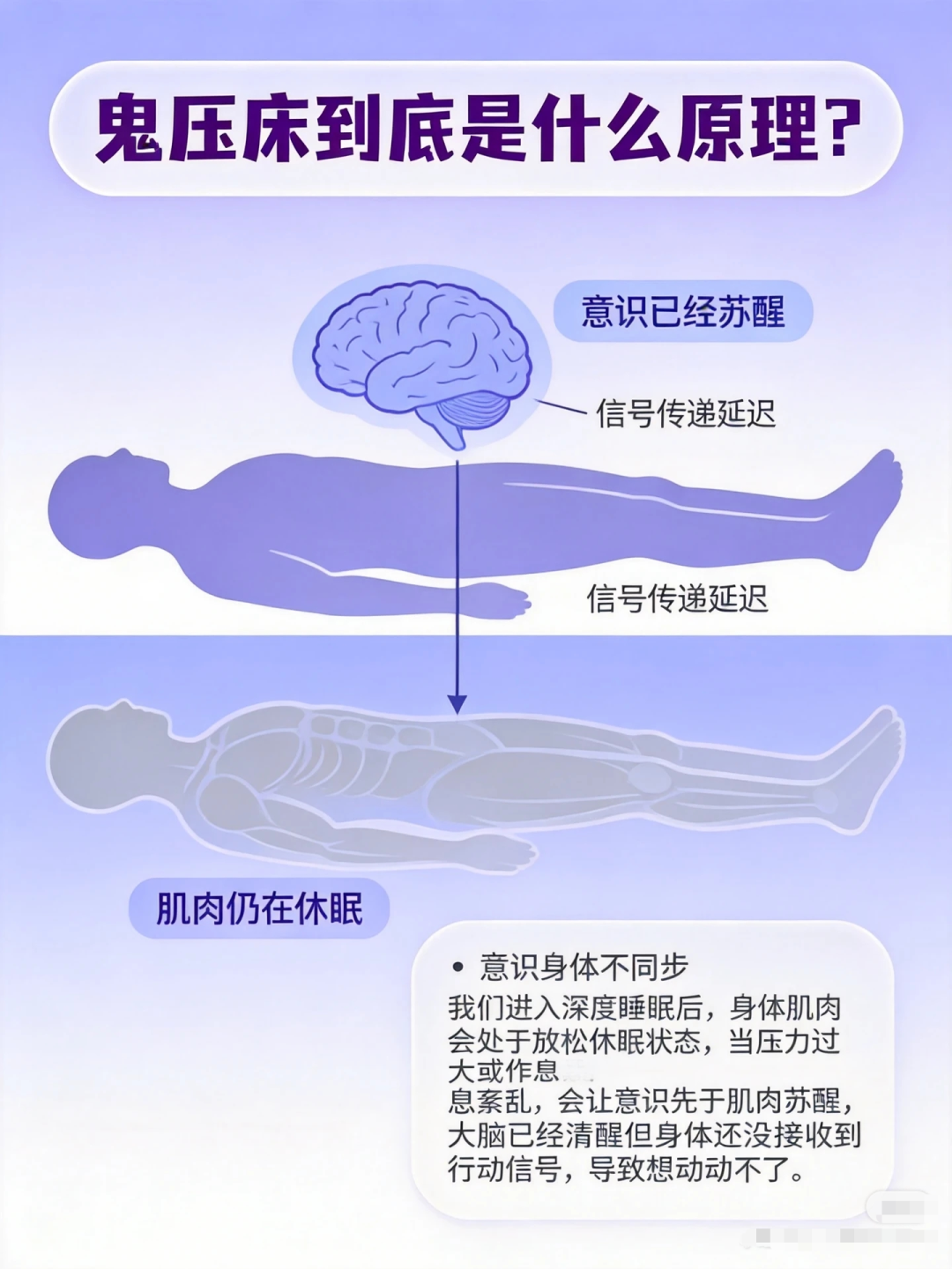 图片 睡眠,正在被AI重新定义的万亿市场…
